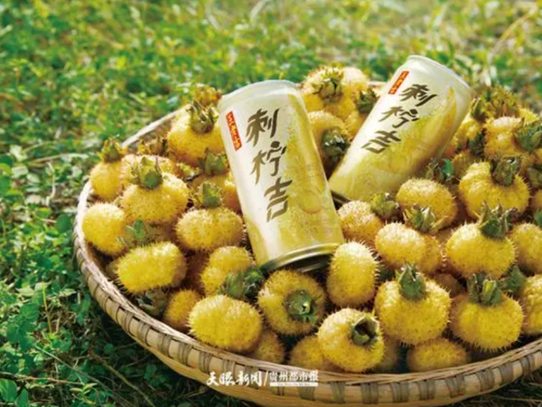 贵州刺梨+贵州村超！王老吉携手贵州村超以